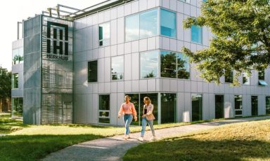 Office Gorilla Services